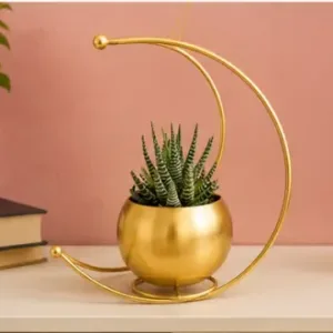 Gold Metal Moon Shape Flower Vase – Geometric Decorative Table Vase for Home, Living Room, Office & Festive Décor ( gold, OS )