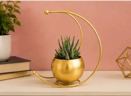 4lL4vKsWy7mwhIEz6PfR4dZ9BJx7Ru6Qzzc6RYyu.webp Gold Metal Moon Shape Flower Vase – Geometric Decorative Table Vase for Home, Living Room, Office & Festive Décor ( gold, OS )