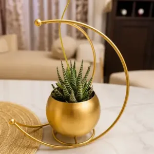 Gold Metal Moon Shape Flower Vase – Geometric Decorative Table Vase for Home, Living Room, Office & Festive Décor ( gold, OS )