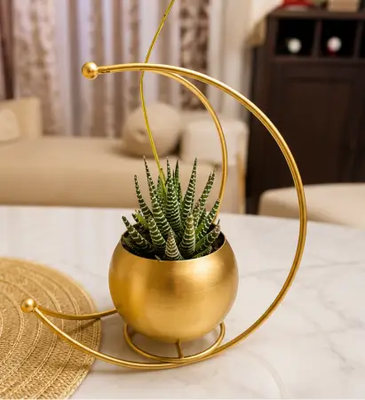 WYuCl9KEmPQtBLZP3VpwSflziuSkkZ7MGaiSenly.webp Gold Metal Moon Shape Flower Vase – Geometric Decorative Table Vase for Home, Living Room, Office & Festive Décor ( gold, OS )