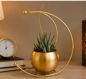 Gold Metal Moon Shape Flower Vase – Geometric Decorative Table Vase for Home, Living Room, Office & Festive Décor ( gold, OS )