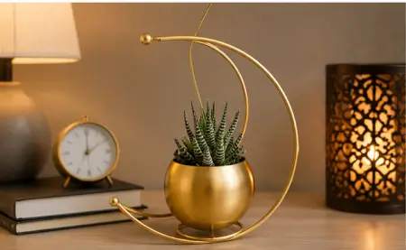 fbNLNf9EbFtsyn3MkBVuxcT5BXtH13w4DIGPfoVr.webp Gold Metal Moon Shape Flower Vase – Geometric Decorative Table Vase for Home, Living Room, Office & Festive Décor ( gold, OS )
